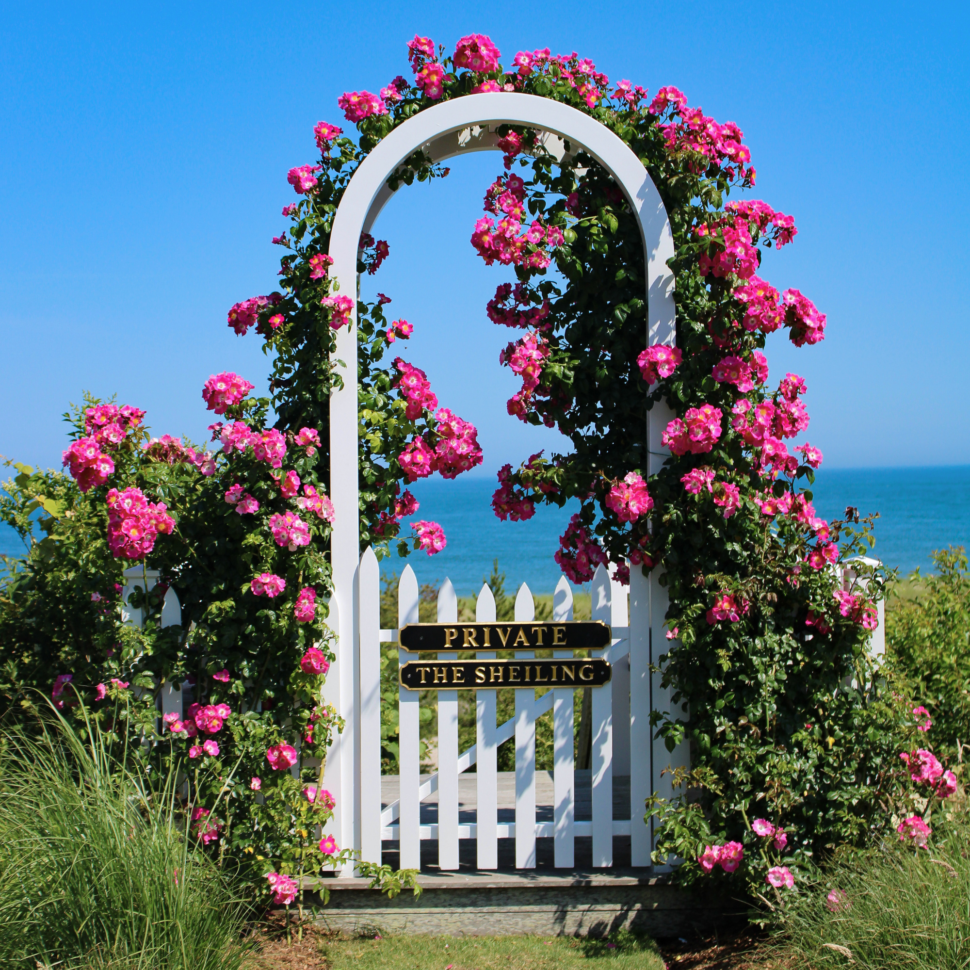 Infinity Frame Collection - Sconset Summer