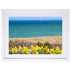Daffy Days in Sconset
