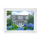 Edgartown Hydrangea Collection Prints - Walk on Water Street