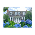 Edgartown Hydrangea Collection Prints - Walk on Water Street