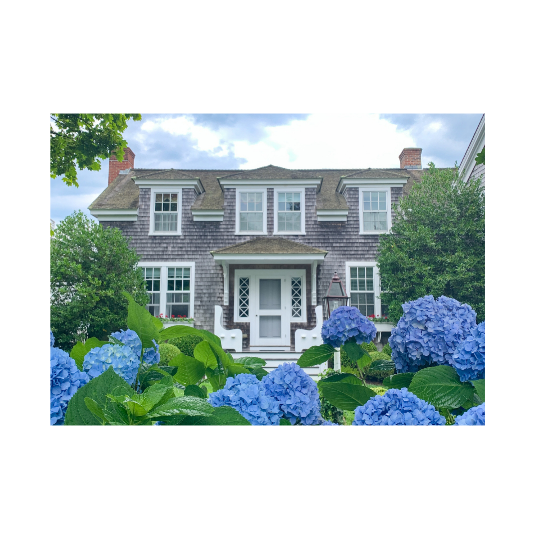 Edgartown Hydrangea Collection Prints - Walk on Water Street