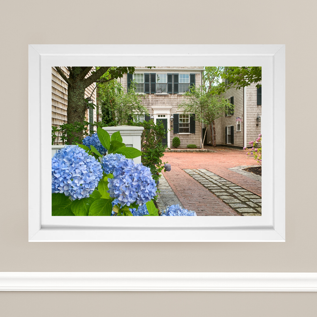 Edgartown Hydrangea Collection Prints - Summer Street Blues