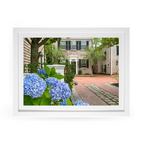 Edgartown Hydrangea Collection Prints - Summer Street Blues