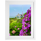 Chatham Hydrangea Collection - Chatham Bars Inn