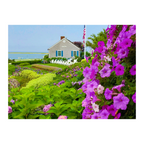 Chatham Hydrangea Collection - Chatham Bars Inn