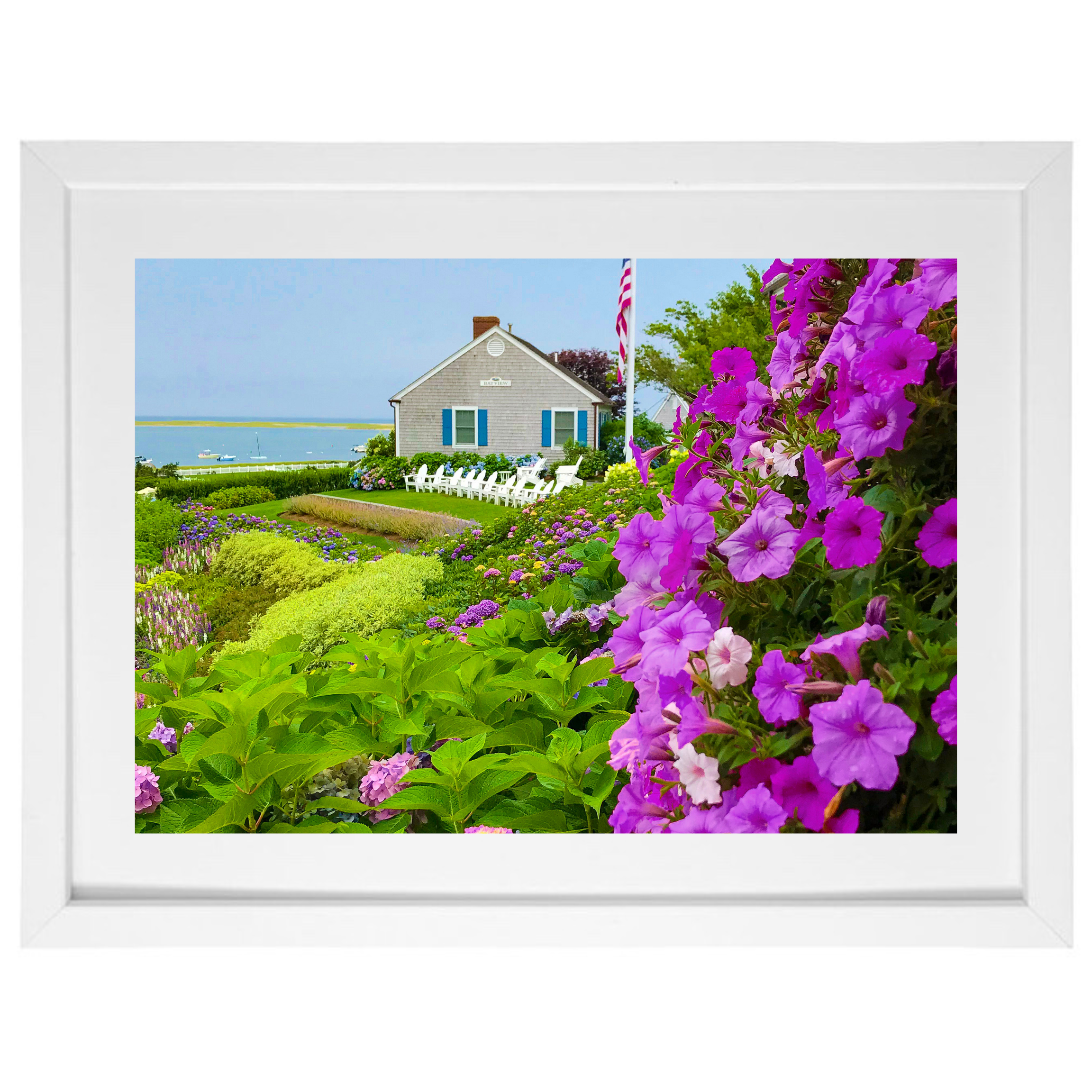 Chatham Hydrangea Collection - Chatham Bars Inn