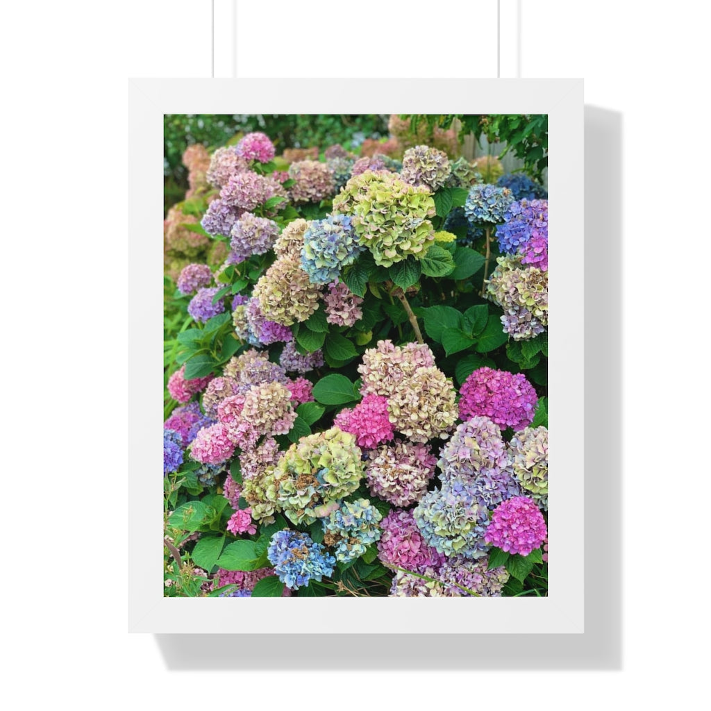 PTown Pride Blooms Framed Vertical Prints
