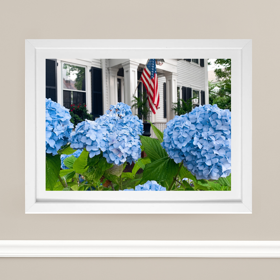 Edgartown Hydrangea Collection Prints - Blue Salute