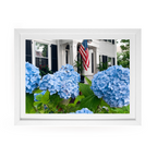 Edgartown Hydrangea Collection Prints - Blue Salute