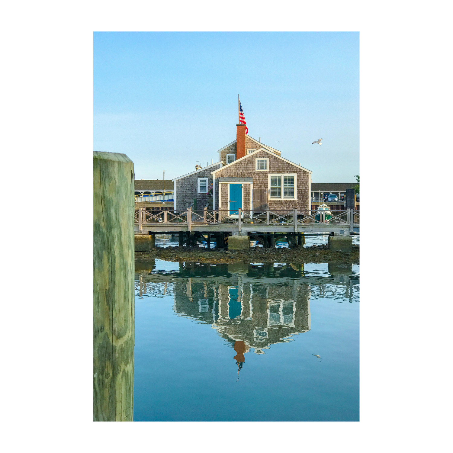 Cottage Blue
