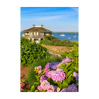 Chatham Hydrangea Collection - Octagon House