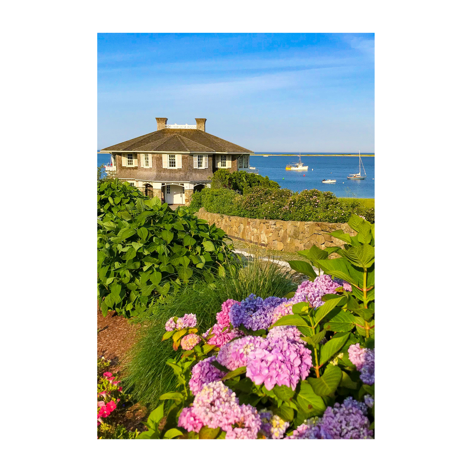 Chatham Hydrangea Collection - Octagon House