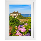 Chatham Hydrangea Collection - Octagon House