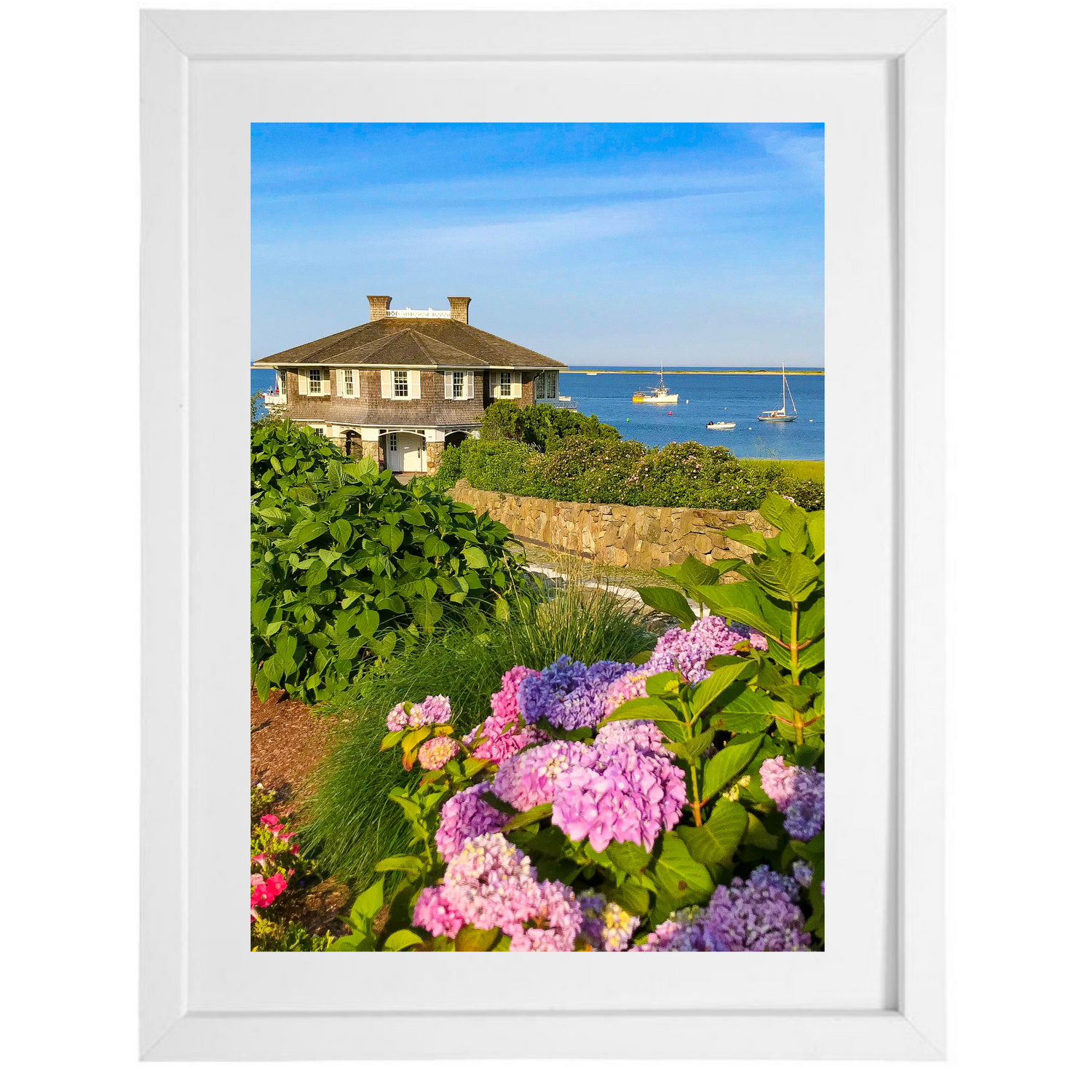 Chatham Hydrangea Collection - Octagon House