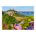 Chatham Hydrangea Collection - Octagon House