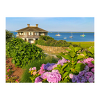 Chatham Hydrangea Collection - Octagon House