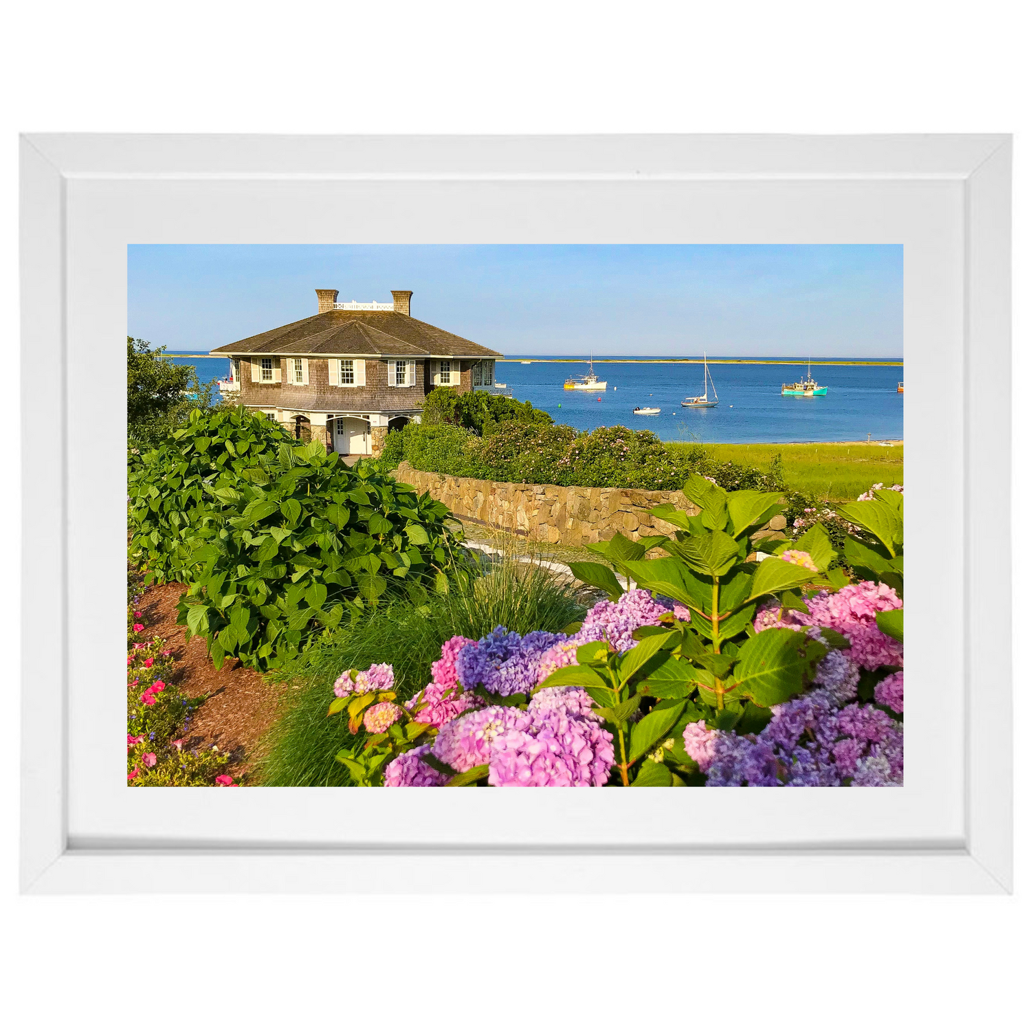 Chatham Hydrangea Collection - Octagon House