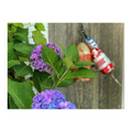 Buoys and Bulbs
