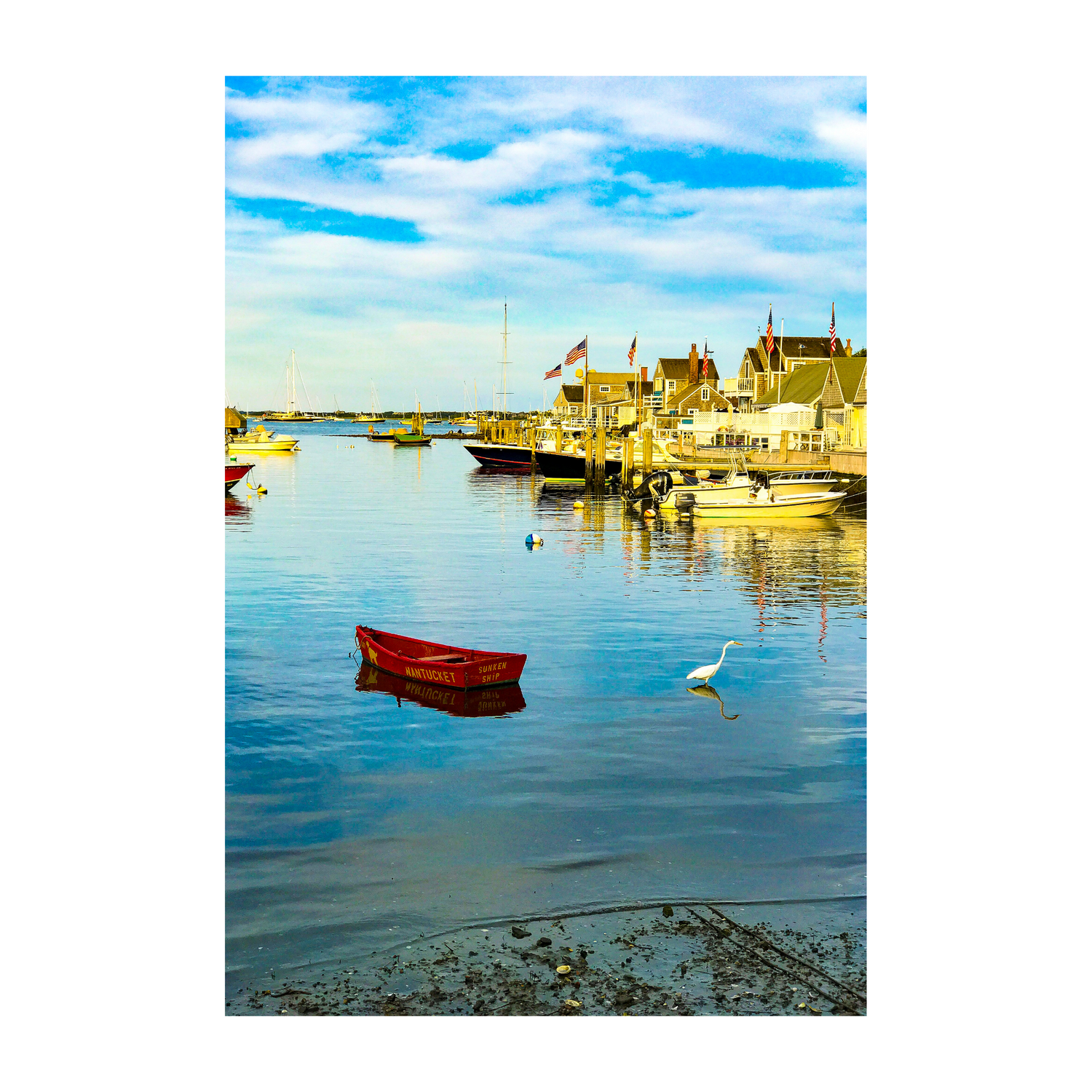 Sunken Boat and Egret