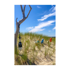 Outer Beach
