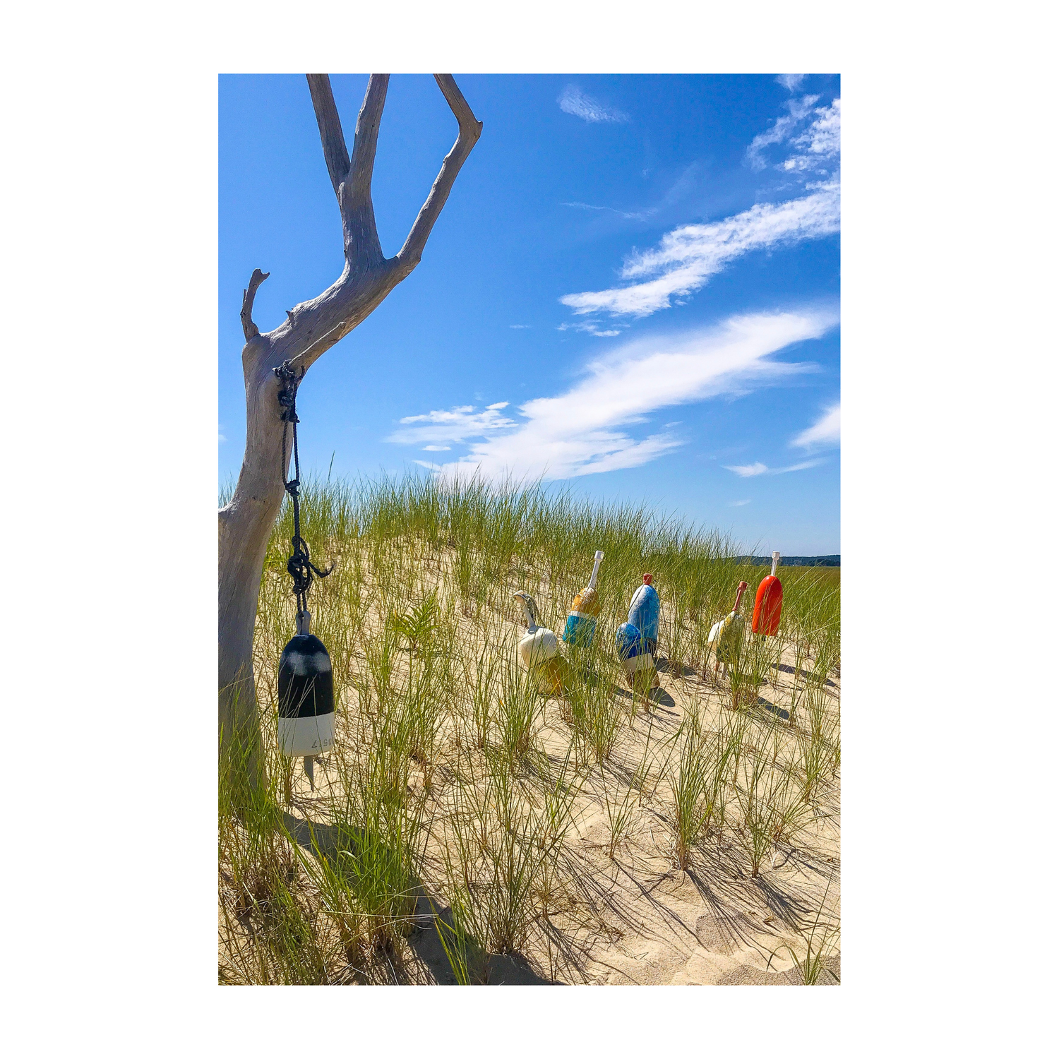 Outer Beach