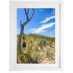 Outer Beach