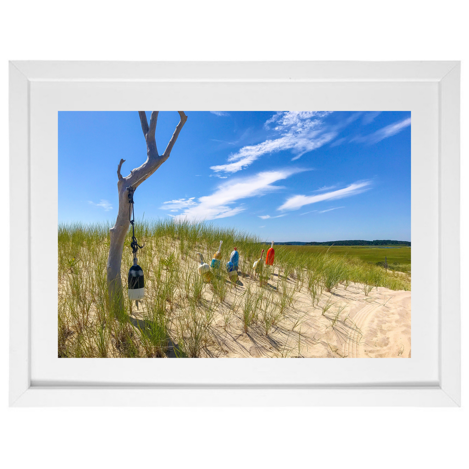 Outer Beach