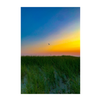 Nauset Dunes at Dusk