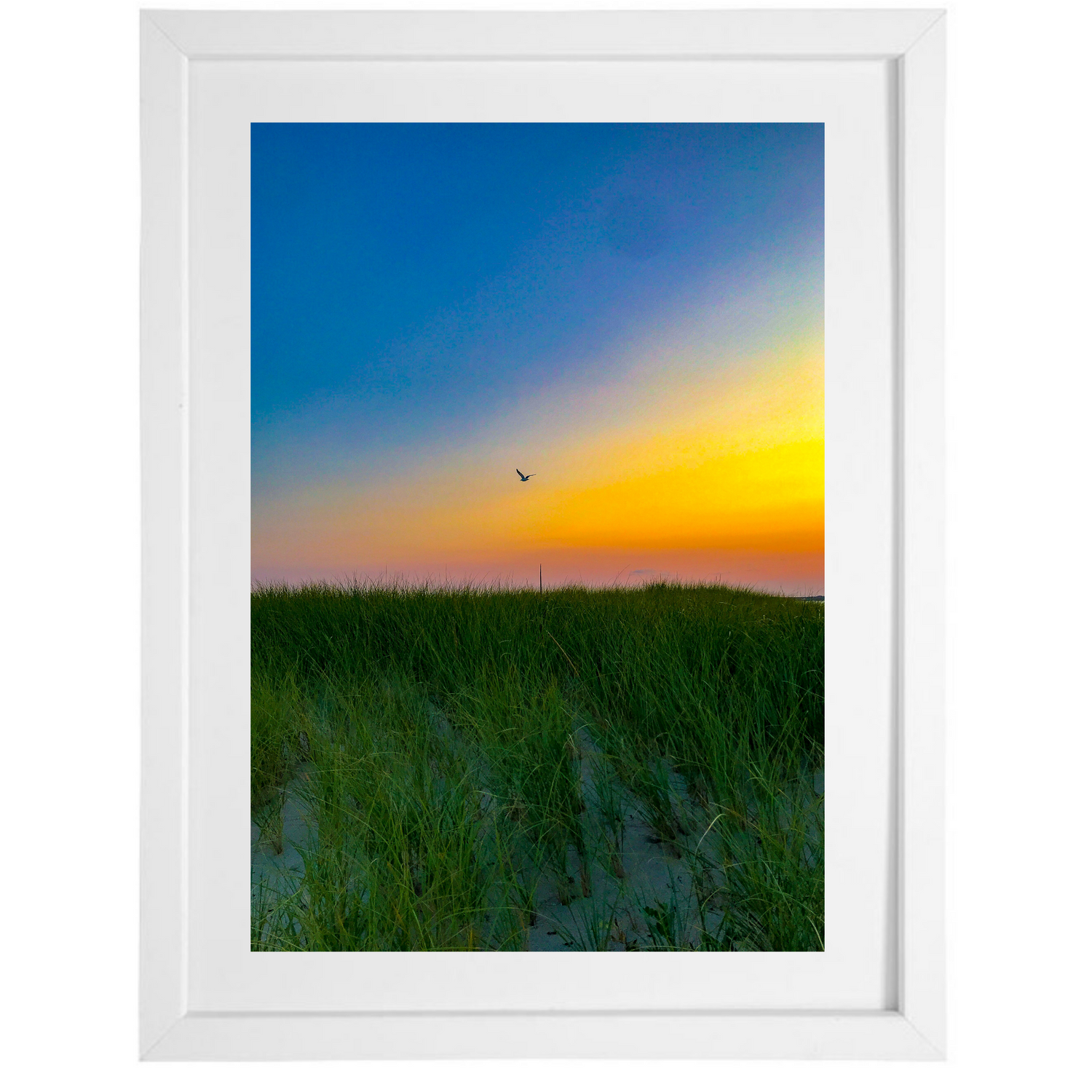 Nauset Dunes at Dusk