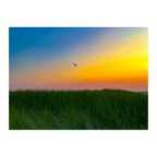 Nauset Dunes at Dusk