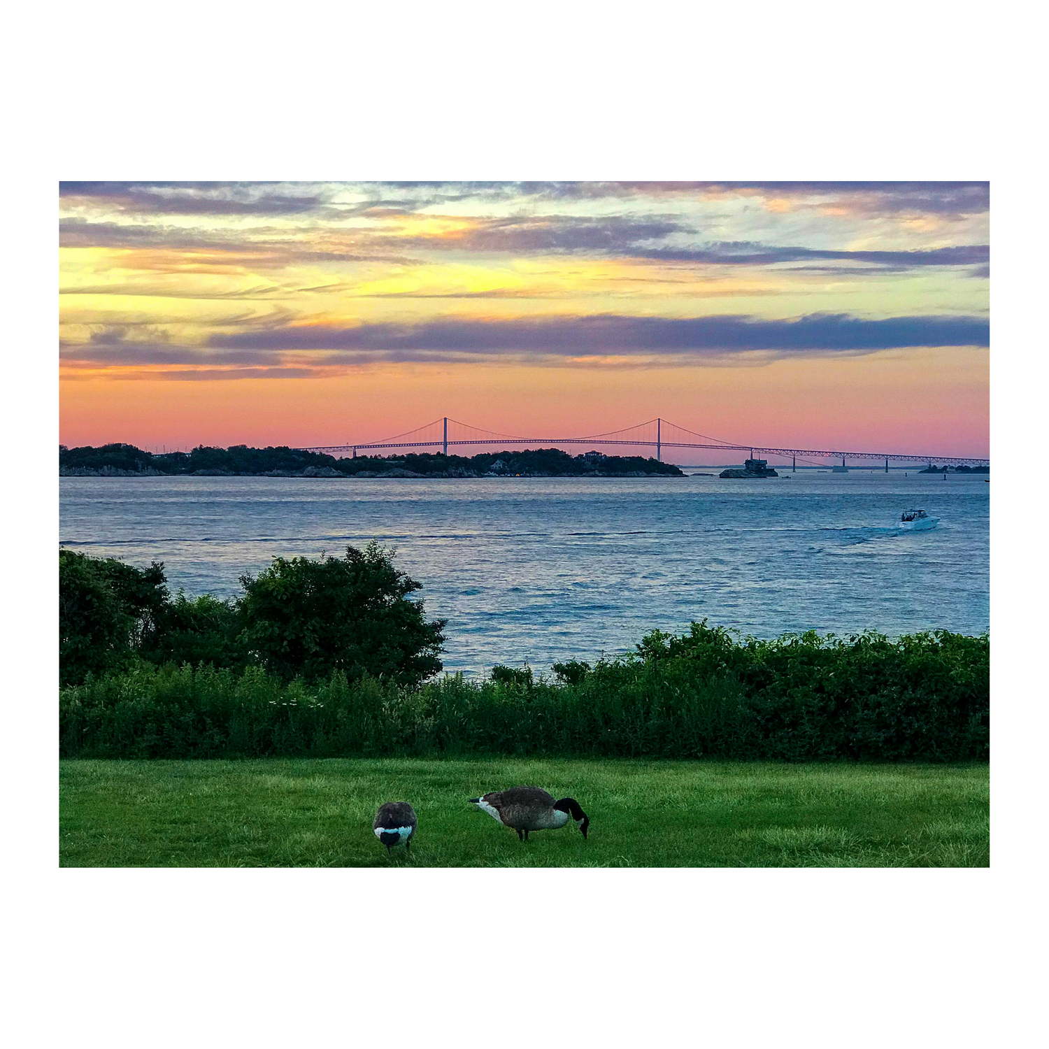 Newport Bridge Sunset