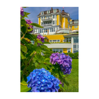 Ocean House Hues