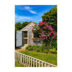 Sconset Rose Cottage Collection - Series 1