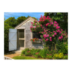 Sconset Rose Cottage Collection - Series 1