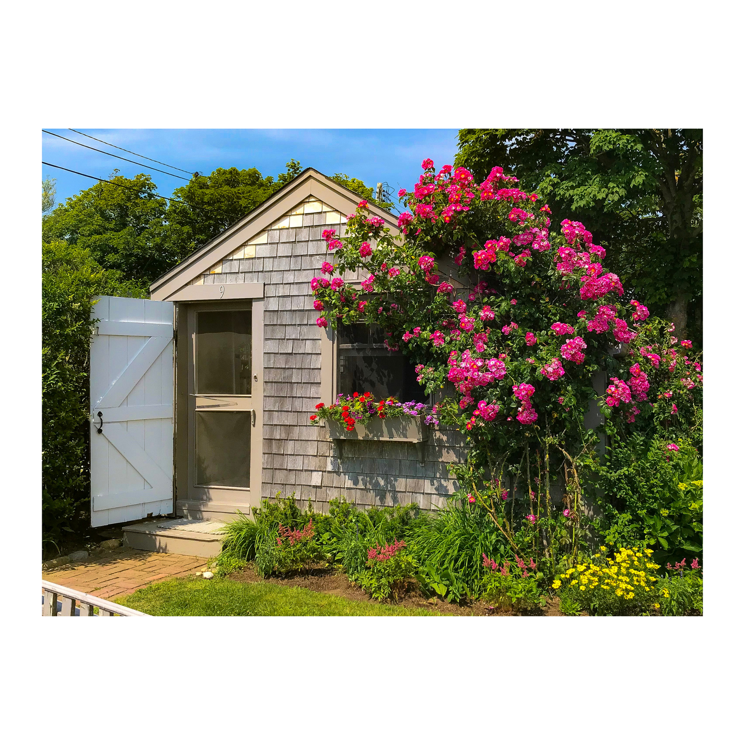Sconset Rose Cottage Collection - Series 1