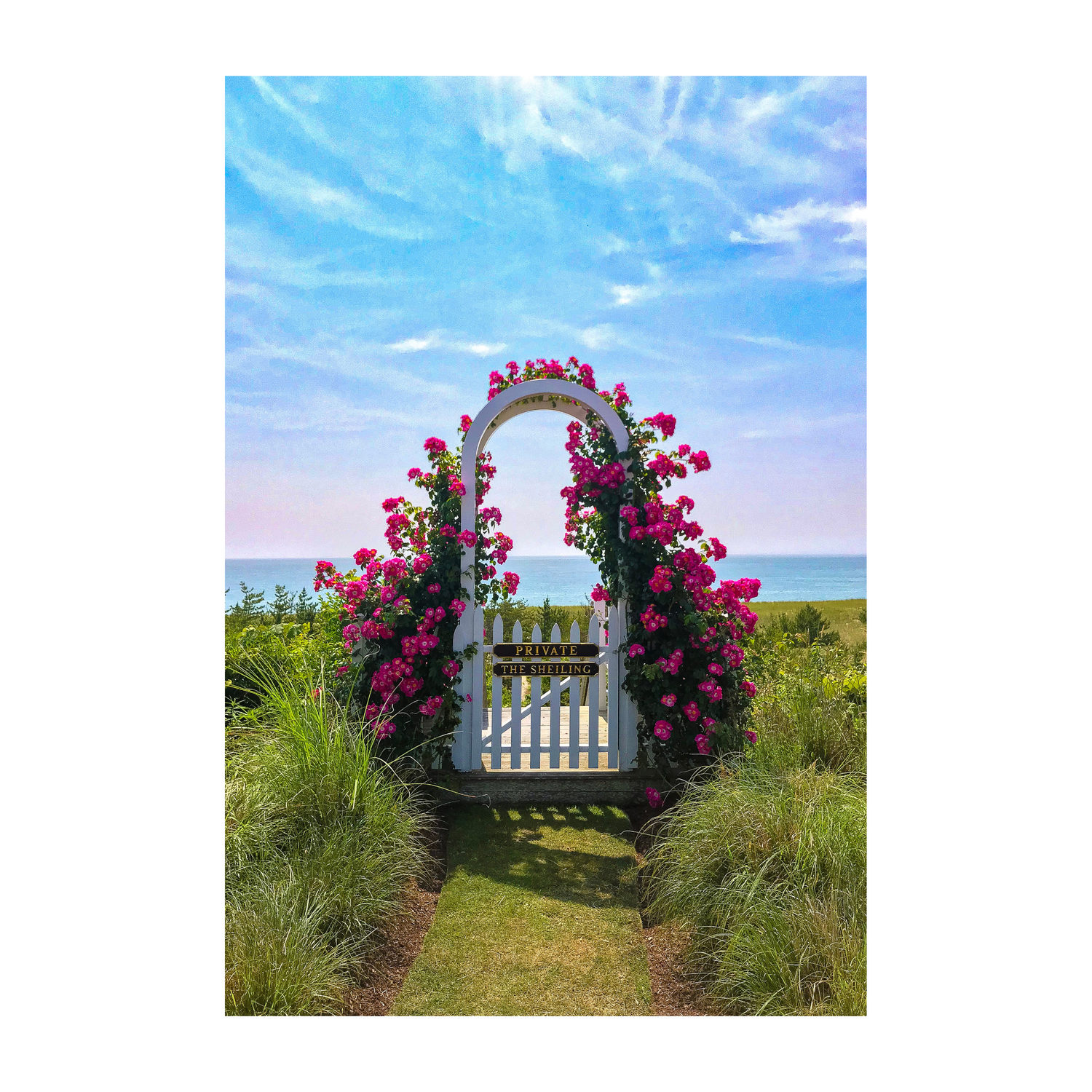 Sconset Rose Cottage Collection - Trellis