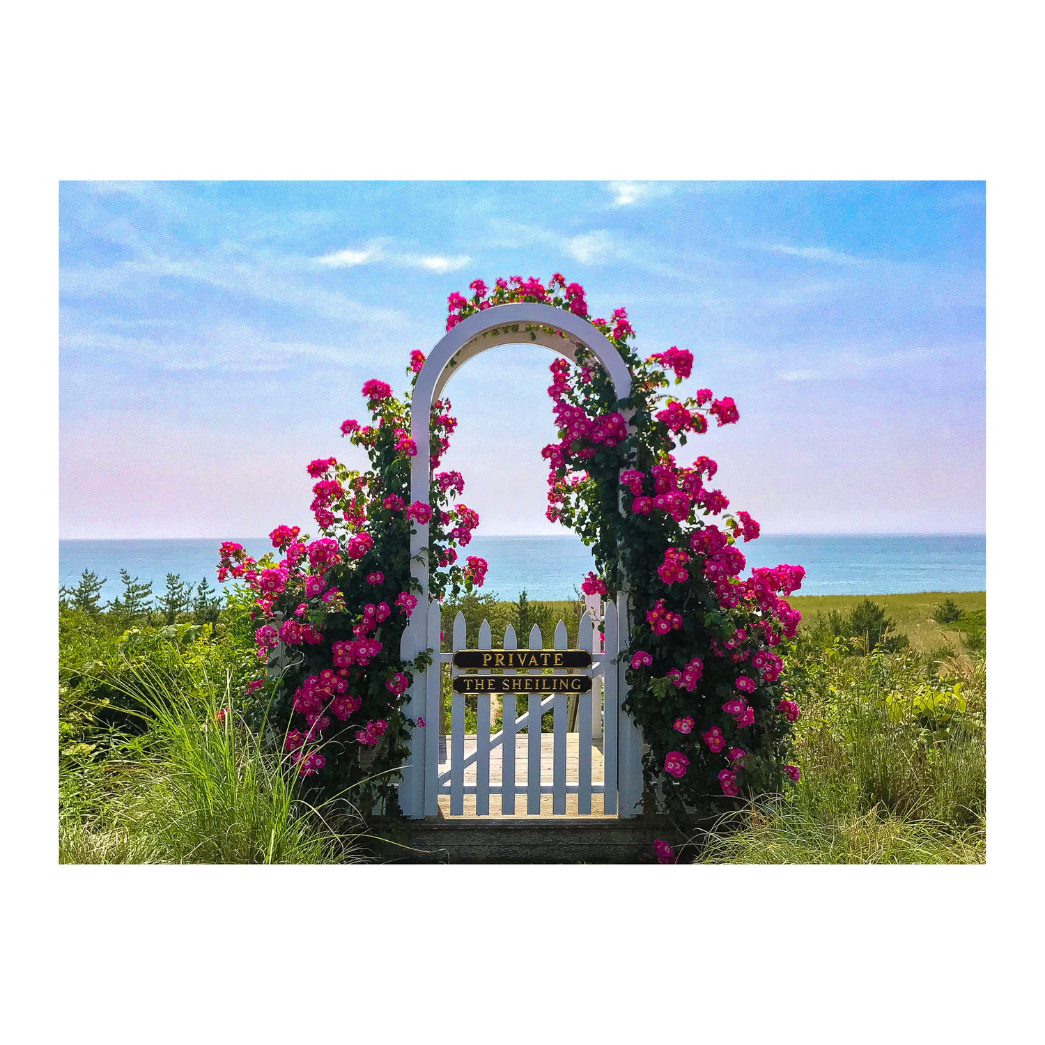 Sconset Rose Cottage Collection - Trellis