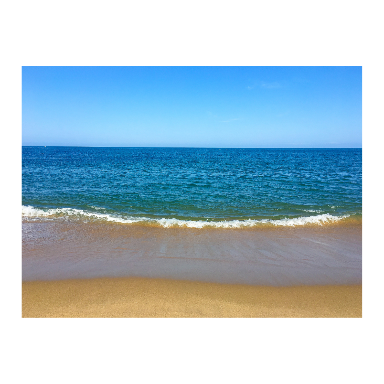 Sconset Shores