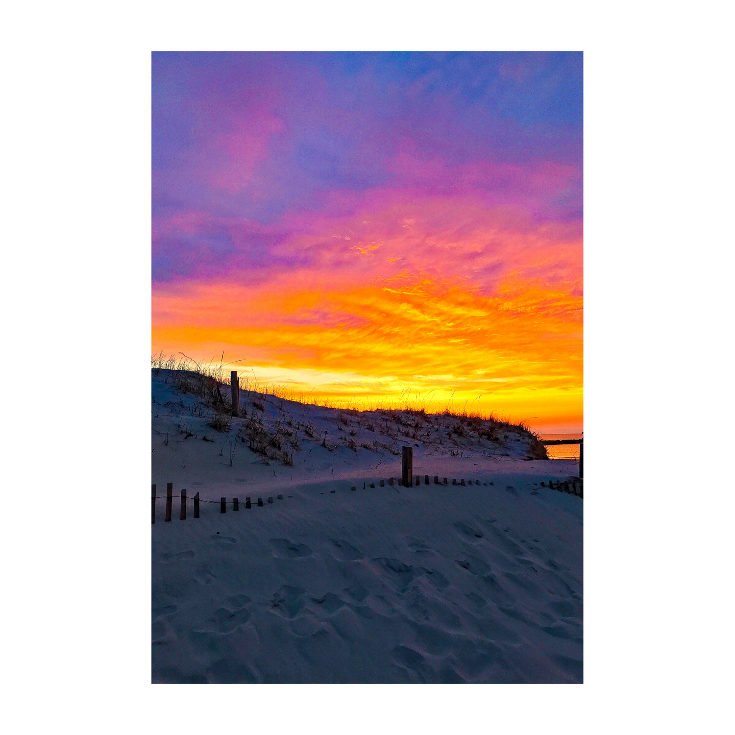 Cold Storage Skies