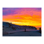 Cold Storage Skies