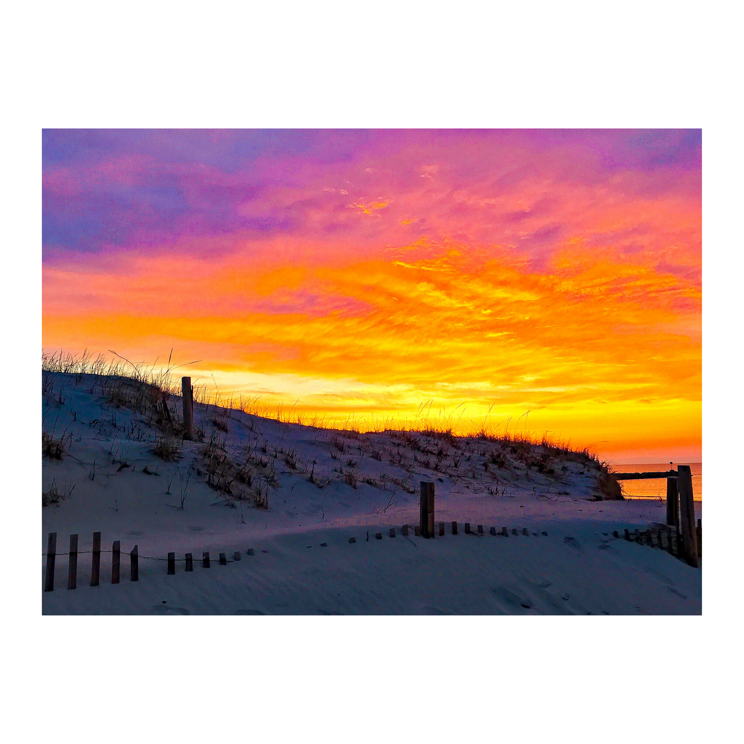 Cold Storage Skies