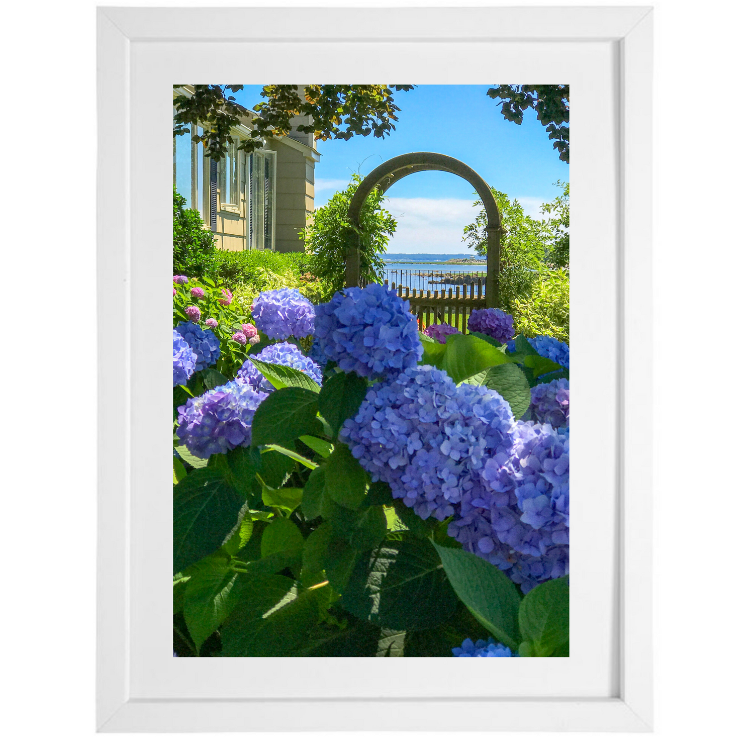 Hydrangea Trellis