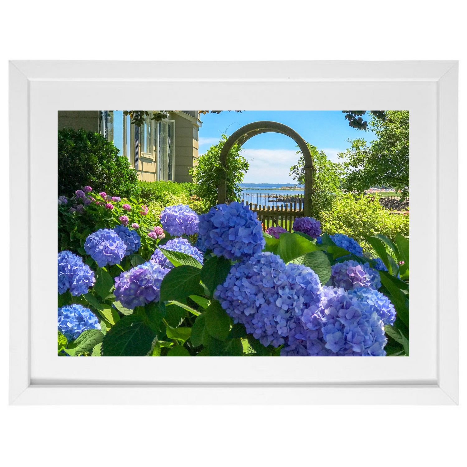 Hydrangea Trellis