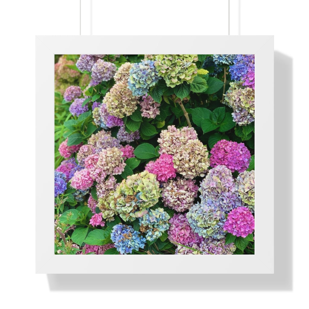 PTown Pride Blooms Framed Vertical Prints