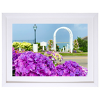 Chatham Hydrangea Collection - Trellis