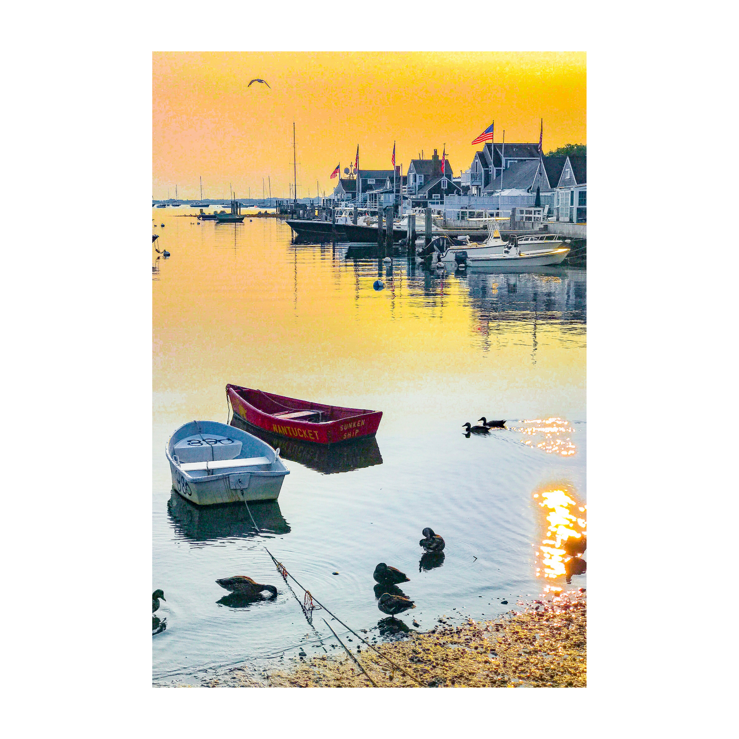 Sunken Boats and Ducks