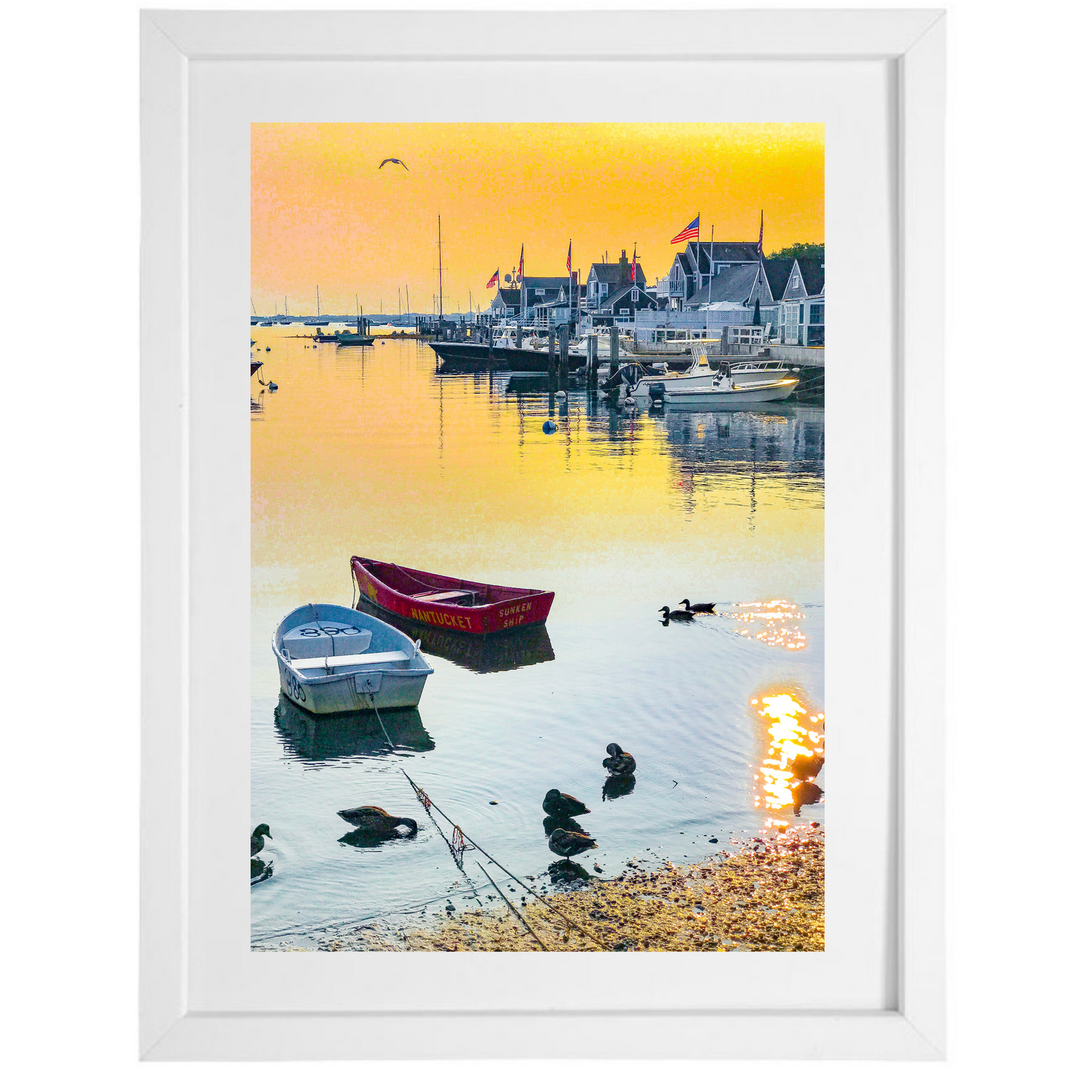 Sunken Boats and Ducks