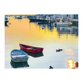 Sunken Boats and Ducks