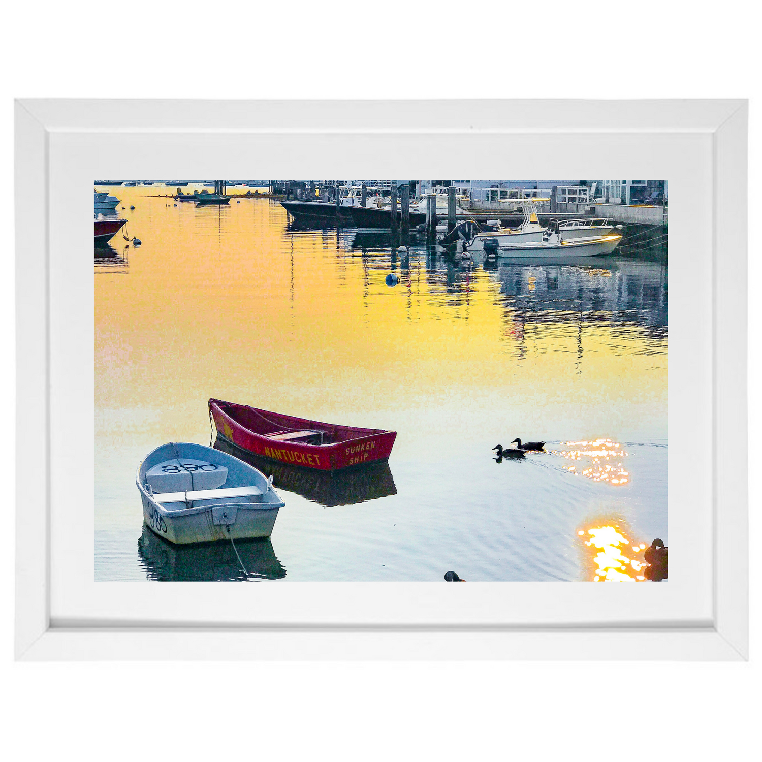Sunken Boats and Ducks